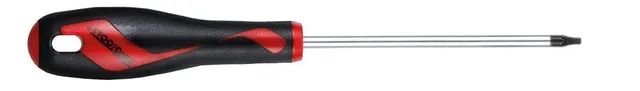Teng Tools tournevis Torx Plus TPX25 x 100 mm