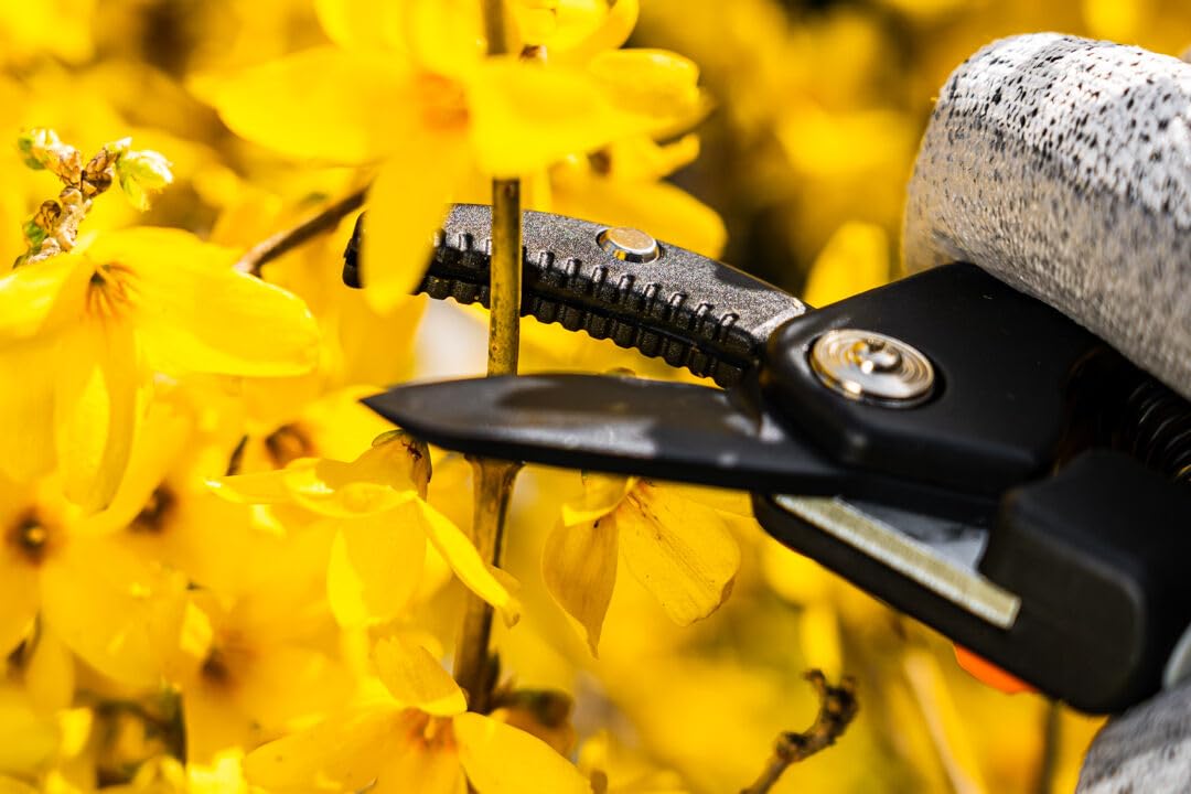 NEO TOOLS sécateur à enclume 185 mm coupe 15 mm bois dur
