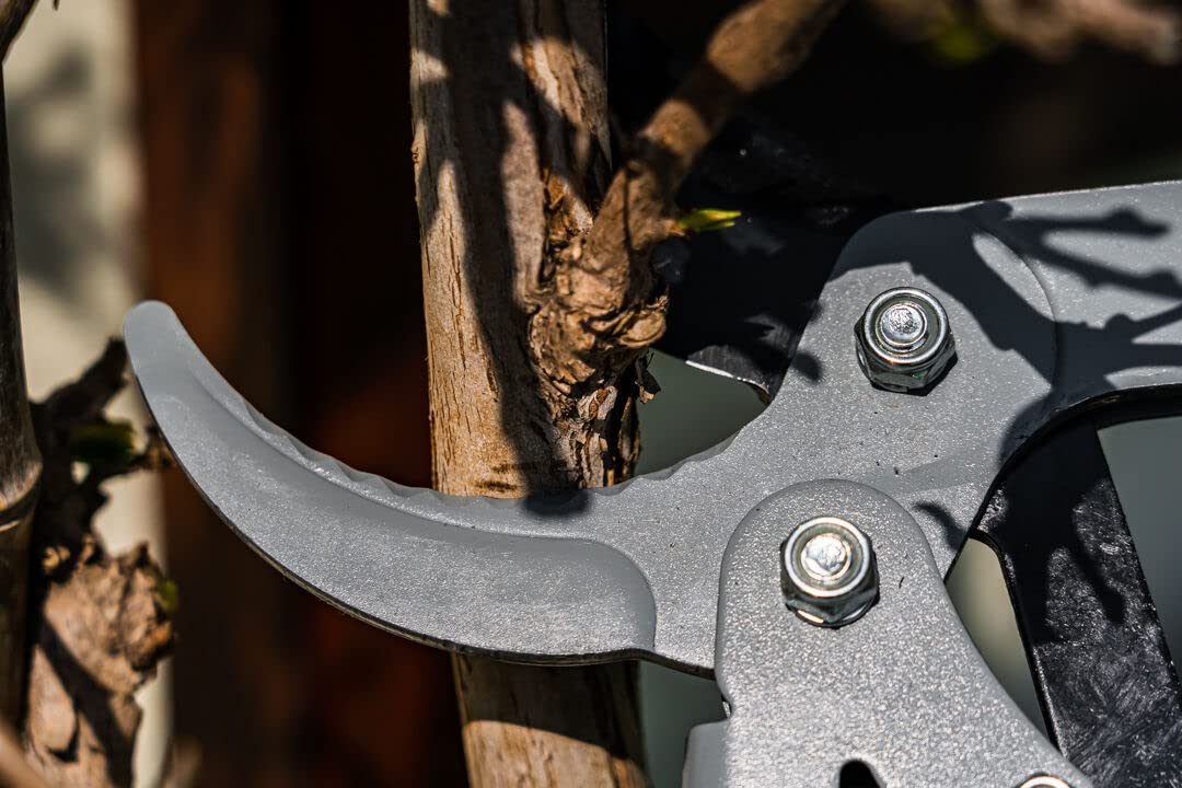 NEO TOOLS coupe-branches bypass 710 mm coupe 45 mm alu
