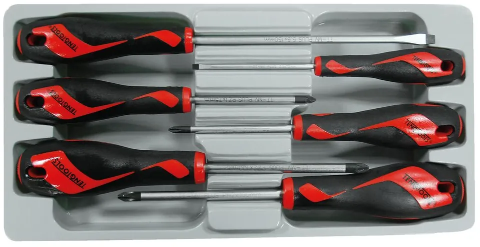 Teng Tools Jeu de Tournevis 6 Pièces Plat PH PZ