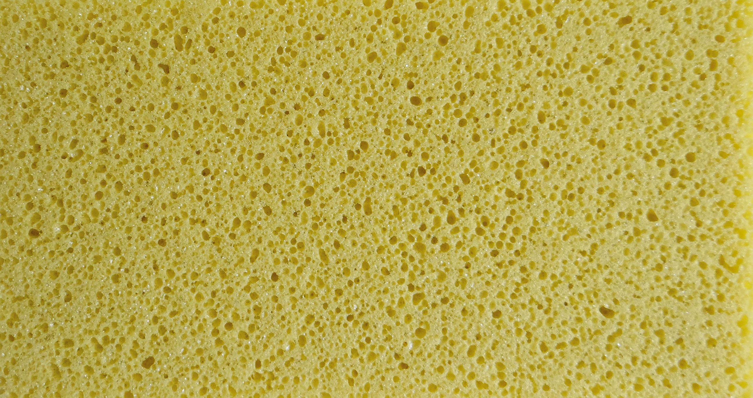 Mondelin 314167 taloche mousse 14x25 cm ovale