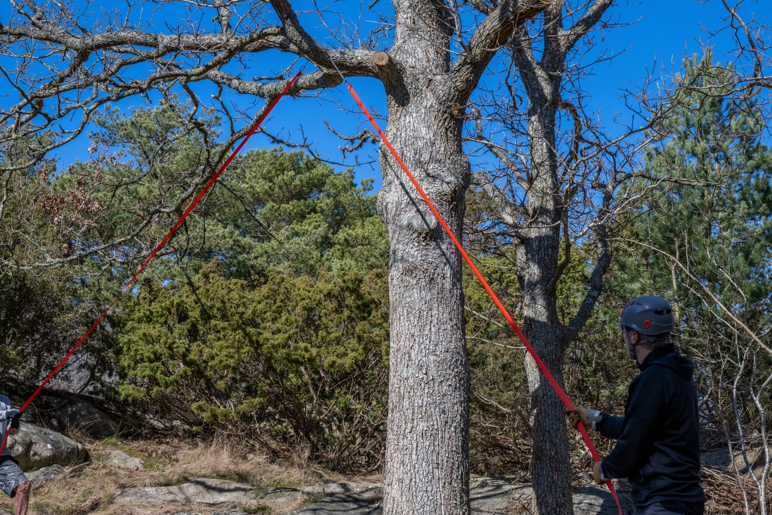Nordic Pocket Saw Arboristen 2 scie de poche à lancer