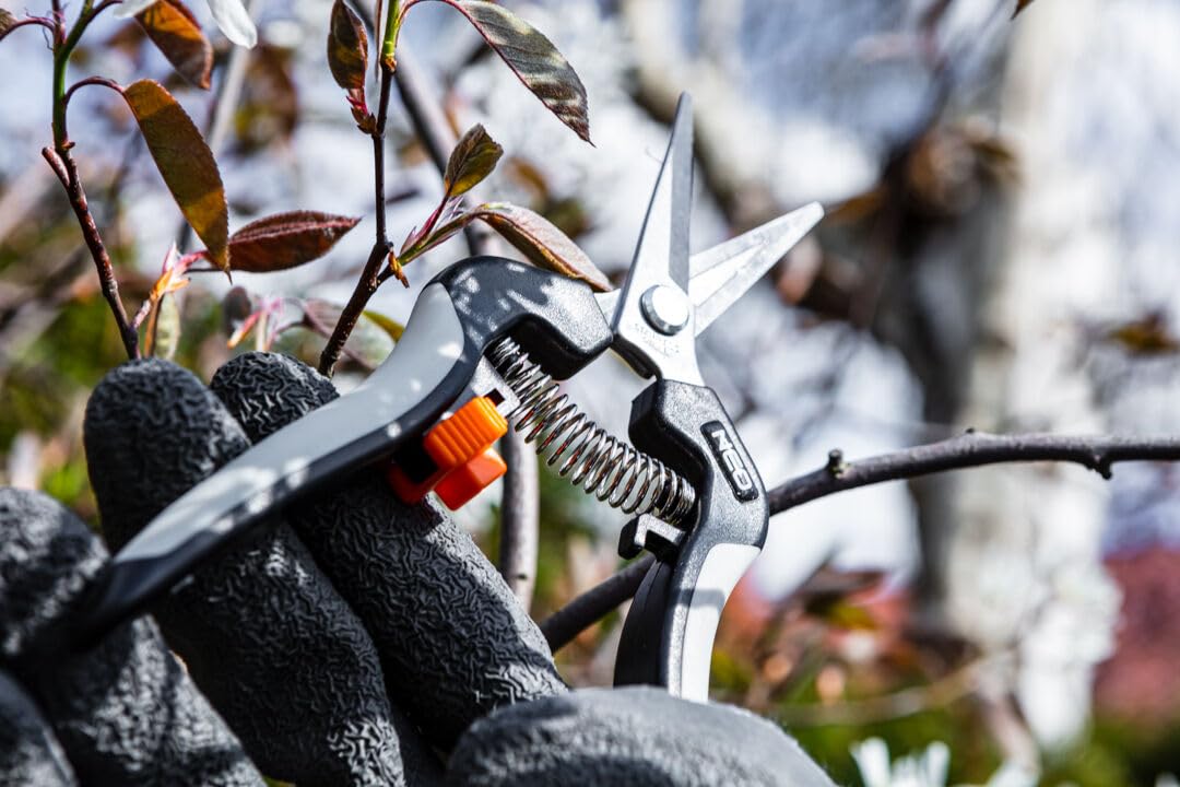 NEO TOOLS sécateur jardin 185 mm inox coupe 6 mm micro-denté