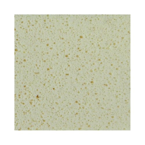 Mondelin platoir à nettoyer monobloc 29x14 mousse