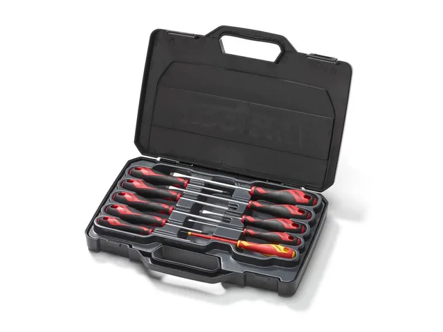 Teng Tools set 10 tournevis plats PH PZ