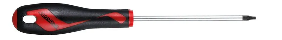 Teng Tools Tournevis Torx TX20 100 mm