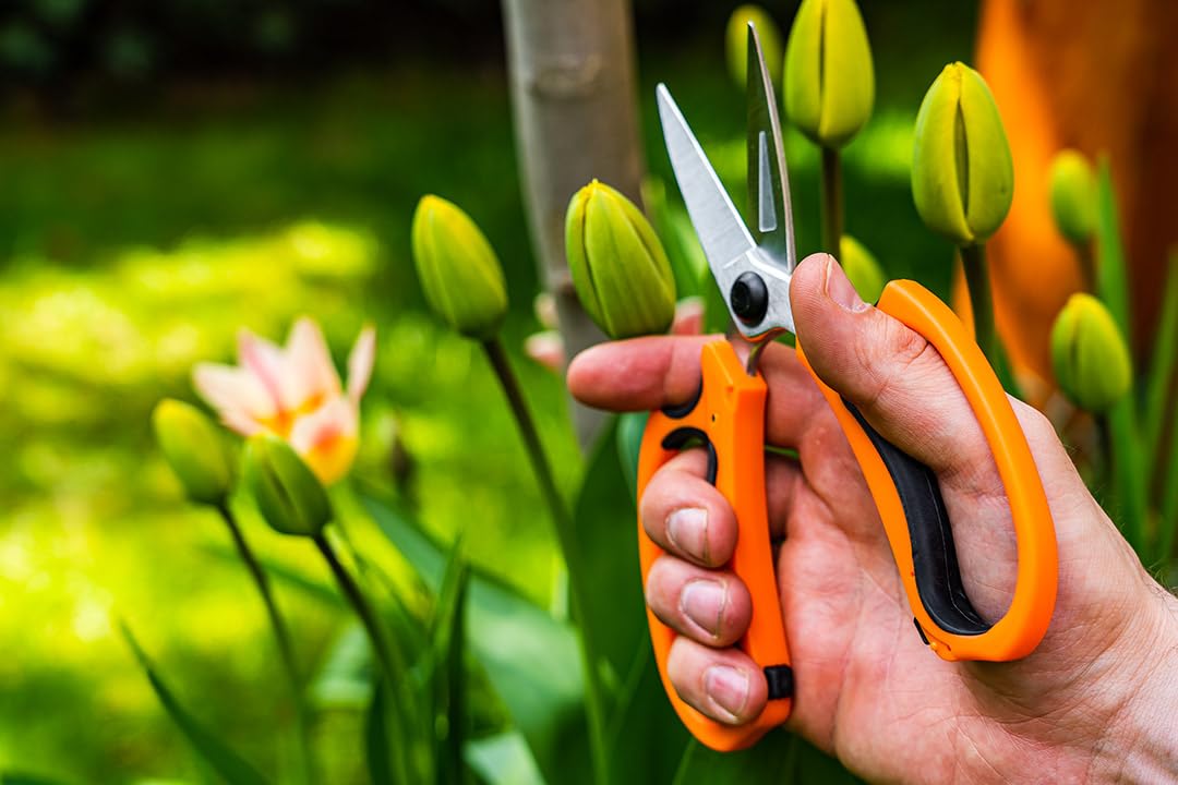 NEO TOOLS sécateur fleurs 185 mm coupe 5 mm plantes en pot