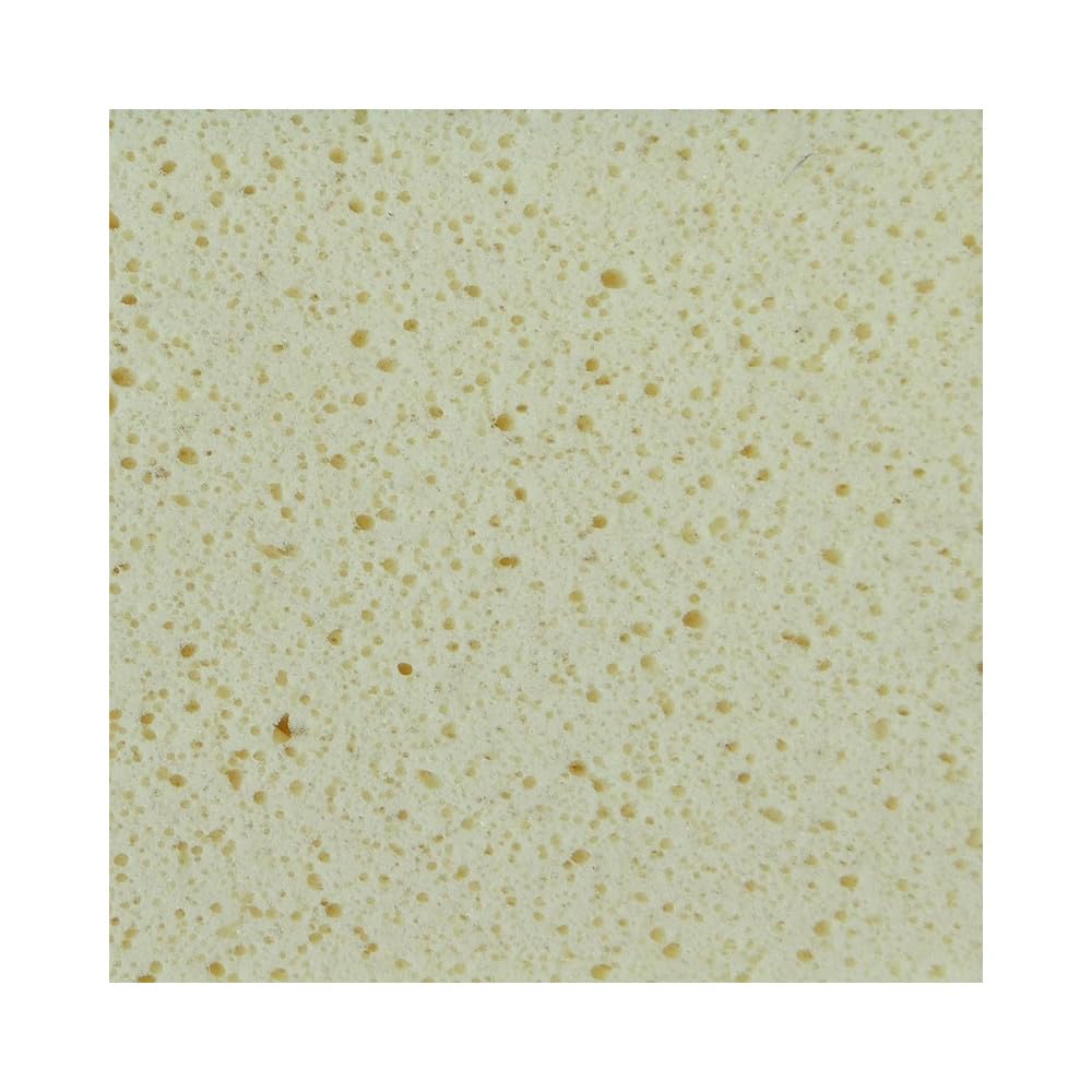 Mondelin platoir à nettoyer monobloc 29x14 mousse